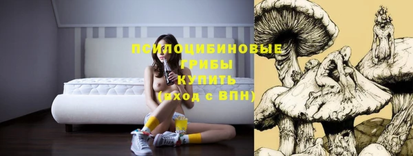 дурь Гусев