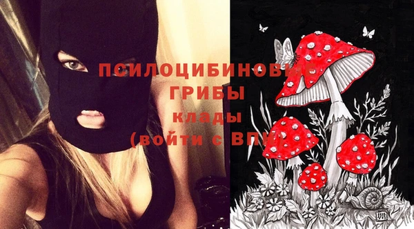 меф Гусь-Хрустальный