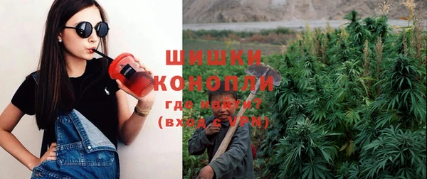 дурь Гусев