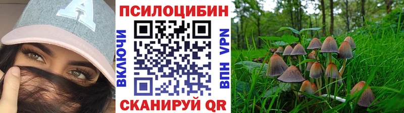 Галлюциногенные грибы Cubensis Чердынь