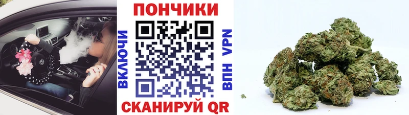 Шишки марихуана AK-47  мориарти наркотические препараты  Чердынь 